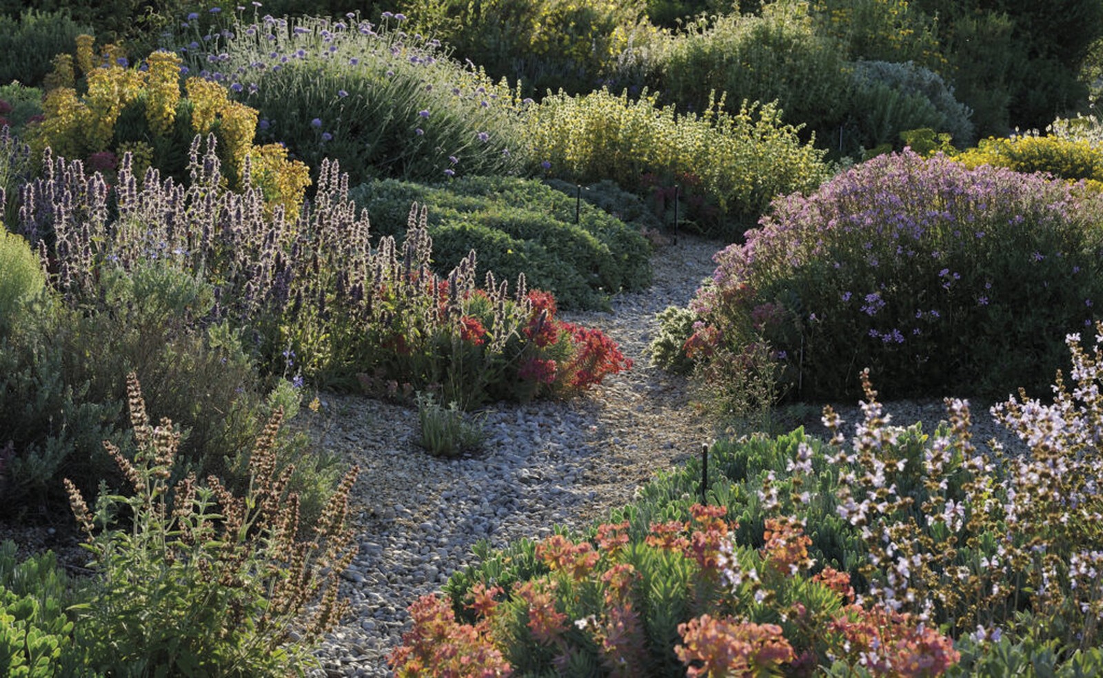 Projet de jardin